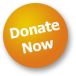 donate now